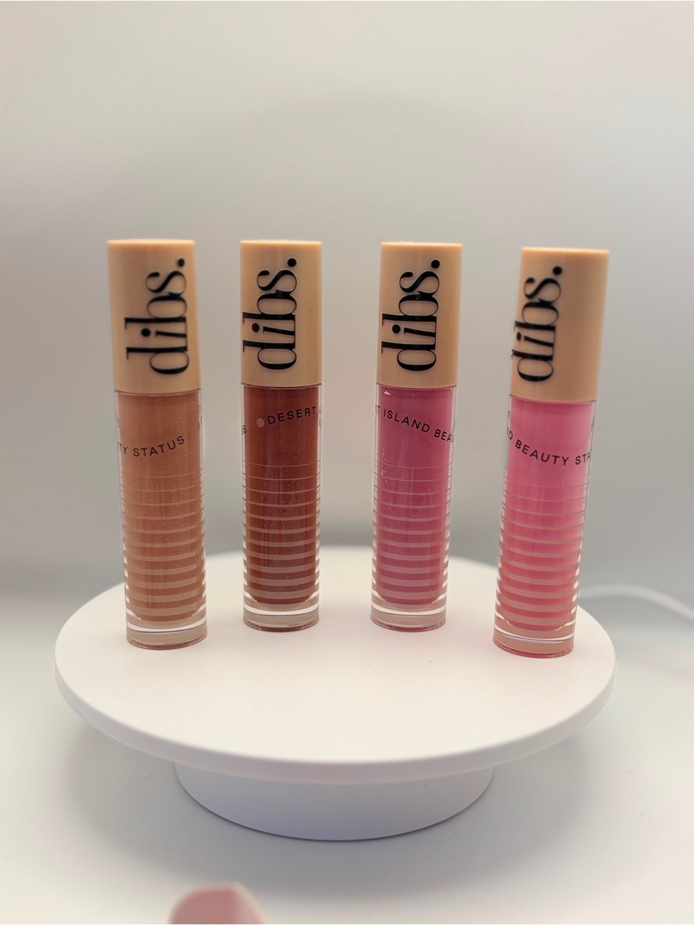Dibs Lip Gloss  — Neutral Beige or  Pink Shades. CHOOSE!!